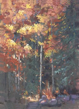 A Light in the Forest, Jan Thompson A Light in the Forest, Jan Thompson