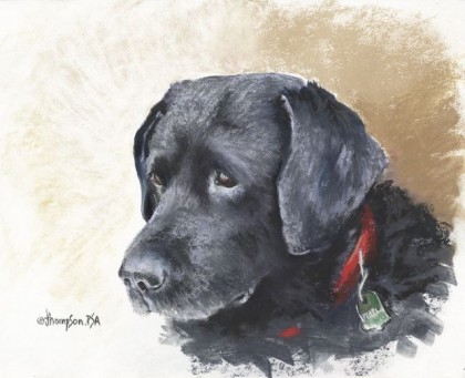 Black Labs Matter, Jan Thompson