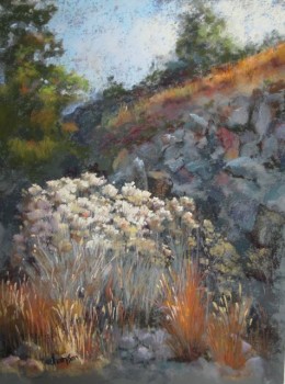 Canyon Spotlights, Jan Thompson Canyon Spotlights, Jan Thompson