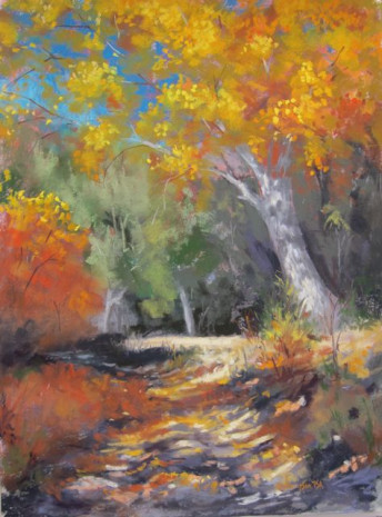 Sunlight and Shadow, Jan Thompson Sunlight and Shadow, Jan Thompson