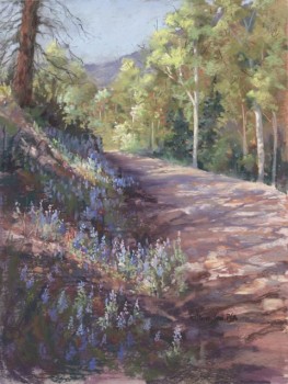 Roadside Concerto, Jan Thompson Roadside Concerto, Jan Thompson