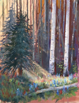 Patriots of the Forest print by Jan Thompson that shows tall trees w/light shining through